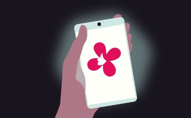 Illustration of the finished clinic app arriving on a phone, ready to download from the app stores